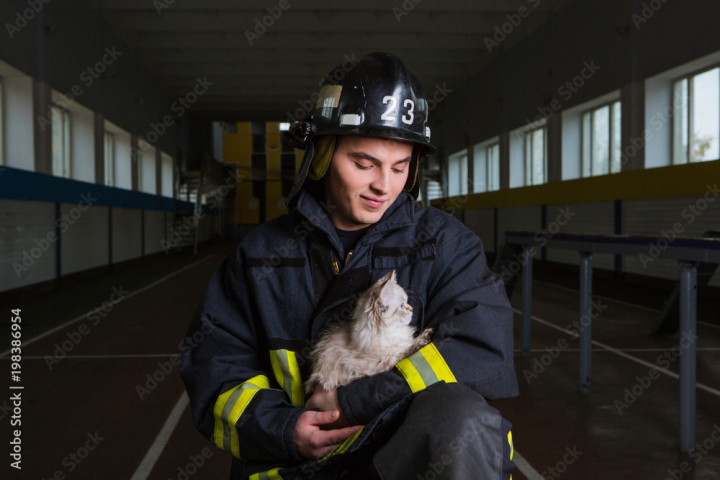 cat,pet,woman,dog,boy,animal,cute,children,white,people,young,portrait,hat,happy,kitten,love,family,isolated,winter,person,fun,baby,smile,children,adult,background,beautiful,children,danger,emergency,fire,firefighter,hero,male,playing,protection,rescue,safety,service,adobestock