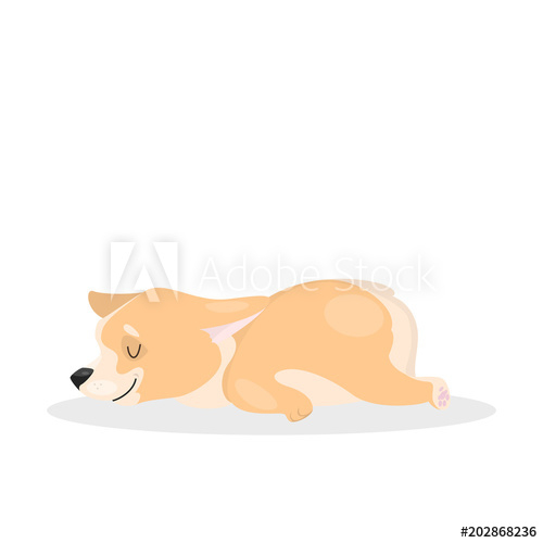 isolated,dog,vector,puppy,illustration,background,cute,collection,design,art,happy,pet,white,smile,animal,welsh,funny,cartoon,dog,breed,graphic,drawing,play,domestic,character,flat,sticker,black,sticker,simple,jump,puppy,fun,orange,icon,cheerful,kit,view,small,little,pose,sleep,sleeping,adobestock