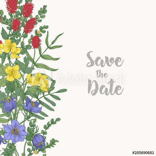 Floral square Save The Date card template decorated with border consisted  of gorgeous wild blooming meadow flowers and flowering herbs on white  background - Nohat - Free for designer