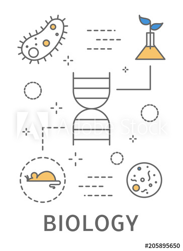 science,area,set,biology,laboratory,vector,laboratory,icon,scientist,illustration,doodle,research,biotechnology,experiment,deoxyribonucleic acid,molecular,technology,line,icon,concept,equipment,web,flat,biological,biochemistry,thin,background,microscope,design,element,school,medicine,education,structure,medicals,chemical,gene,mobile phone,tube,test,scientific,formula,molecular,nature,workspace,abstract,art,innovation,plant,adobestock