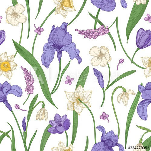 botanical,seamless,pattern,seasonal,blooming,flower,white,background,spring,flower,meadow,antique,bloom,blossom,botany,coloured,colourful,crocus,decorative,design,drawn,elegant,endless,fabric,flora,floral,garden,hand-drawn,illustration,inflorescence,leaf,lilac,narcissus,natural,nature,plant,print,realistic,romantic,snowdrop,springtime,style,tender,textile,texture,tulip,vector,vintage,adobestock