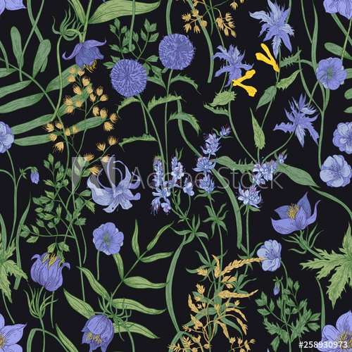 floral,seamless,pattern,flowering,herbaceous,plant,wildflower,wild,flower,antique,background,black background,bloom,blossom,botanical,colourful,decoration,decorative,design,drawn,elegant,endless,fabric,flora,gorgeous,hand-drawn,herb,herbal,illustration,inflorescence,leaf,meadow,natural,nature,perennial,plant,pretty,print,purple flower,realistic,retro,romantic,style,summer,tender,textile,texture,vector,adobestock