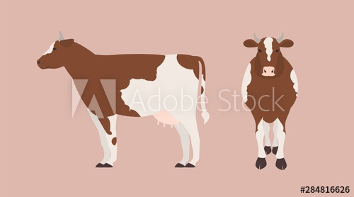 cow,isolated,light,background,barnyard,farm,adorable,agriculture,animal,beef cattle,bovid,bovine,breed,bundle,cartoon,cattle,collection,colourful,creature,cute,dairy,decor,decoration,design element,domestic,farming,fauna,flat,front view,funny,gorgeous,graphic,herbivore,herbivorous,horn,husbandry,illustration,farm animal,lovely,mammal,milk,modern,portrait,pretty,ranch,set,half face,species,adobestock