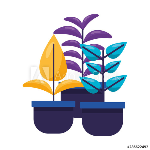 isolated,plant,leaf,design,pot,leaf,garden,ornament,nature,vector,botany,summer,natural,decoration,beauty,flora,fresh,floral,object,illustration,beautiful,decorative,life,environment,graphic,element,spring,bright,climate,lush,detail,gardening,adobestock