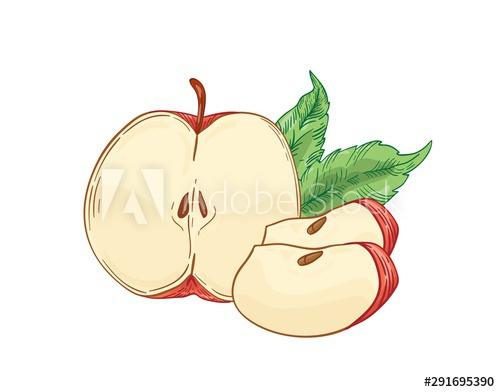 red,apple,slice,hand,drawn,vector,illustration,half,cut,leaf,plant,healthy,nourishment,diet,organic,product,bio,botanical,botany,clip art,colours,delicious,design,drawing,eco,element,engraving,flora,fresh,fruit,graphic,hand-drawn,hand-drawn,ingredient,isolated,juicy,leaf,natural,on white,quarter,realistic,raw,ripe,season,seasonal,slice,snack,sweet,tasty,adobestock