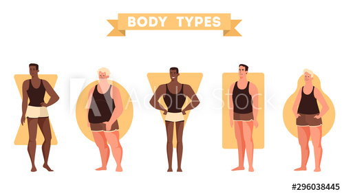 Man in underwear with pear body shape guy Vector Image