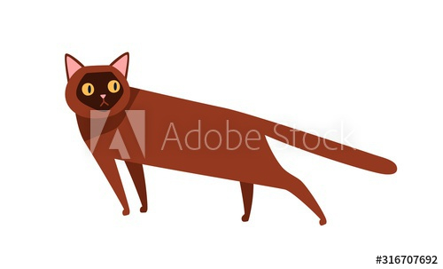 burmese,cat,breed,flat,vector,illustration,pet,animal,adorable,brown,cartoon,character,cheerful,colours,colourful,coloured,cute,design element,domestic,exotic,fear,felino,fluffy,frightened,funny,fur,furry,graphic,happy,horrified,isolated,kitten,cat,on white,paw,pedigree,purebred,frightened,scared,short hair,racked,standing,tail,minimalistic,surprised,wary,adobestock