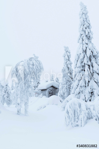small,cabin,snowy,forest,snow,architecture,backyard,building,cold,countryside,cover,finland,fire,freezing,frosty,glacé,hi-res,home,house,hut,lapland,natural,nature,outdoors,pine tree,roof,sauna,storage,store,thick,tool,tree,tree,winter,adobestock
