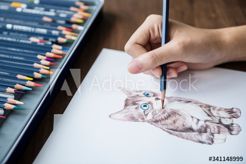 colouring,adorable,animal,workspace,concept,drawing,art,artist,bright,cat,colours,colourful,cute,design,free,freelance,freelancer,hand,hobby,illustrated,illustration,crayons,rainbow,set,work,working,workplace,adobestock