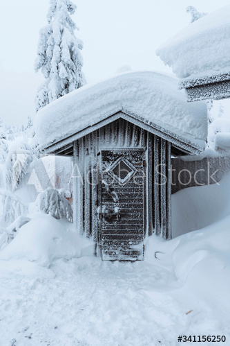 privies,covered,snow,home,architecture,backyard,building,cold,countryside,cover,finland,forest,freezing,frosty,glacé,hi-res,house,hut,lapland,natural,nature,outdoors,pine tree,roof,shed,storage,store,thick,tool,tree,tree,winter,adobestock