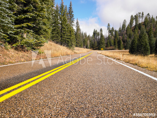 road,landscape,highway,forest,sky,nature,tree,asphalt,travel,mountain,blue,tree,mountain,rural,way,autumn,green,summer,cloud,cloud,country,countryside,driving,curve,trip,us,america,adobestock