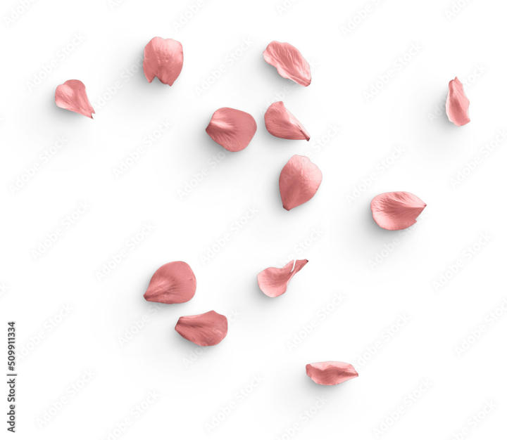 element,cut-out,floral,pink,pretty,spring,cherry,blossom,design,springtime,holiday,nature,concept,sakura,flower,beautiful,flower petals,colours,season,tree,tree branch,light,pastel,beauty,decoration,closeup,bloom,blooming,japanese,art,abstract,plant,adobestock