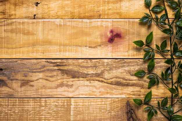 Wooden Background Photos, Download The BEST Free Wooden Background