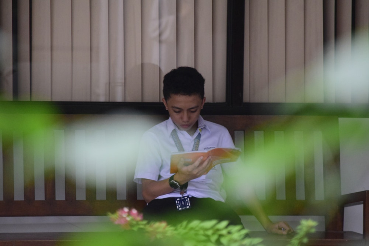 boy,kid,learning,person,reading,student,uniform,young
