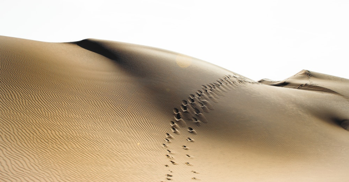 arid,desert,dunes,footprints,landscape,nature,sand dunes,wasteland