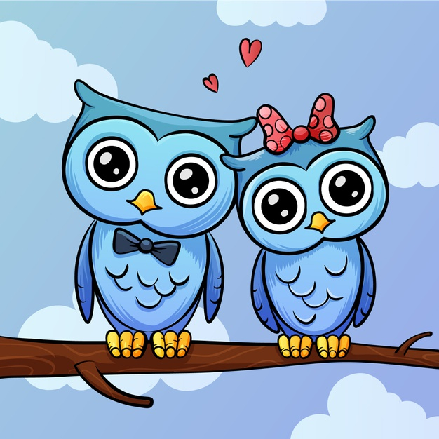 14th,romanticism,february 14,14,domestic,february,owls,romance,collection,drawn,day,romantic,draw,valentines,celebrate,drawing,couple,event,valentines day,cute,hand drawn,animal,cartoon,hand,love,heart