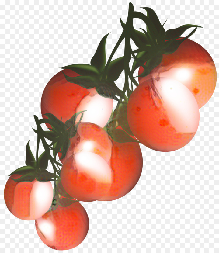 cherry tomato,vegetable,tomato sauce,fruit,food,beefsteak tomato,bush tomato,rouge tomate,tomato,solanum,cherry tomatoes,plum tomato,plant,nightshade family,flowering plant,vegetarian food,flower,png