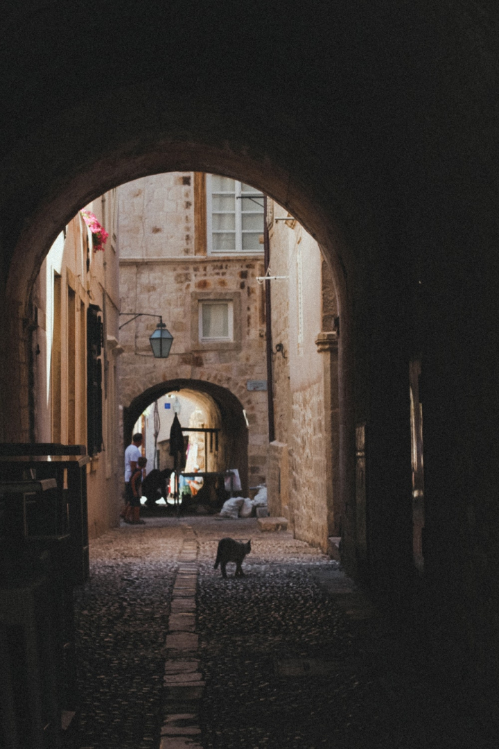 alley,ancient,arch,architecture,building,cat,croatia,exterior,facade,gothic,historic,outdoors,pavement,people,pet,street,town,travel,urban,wall