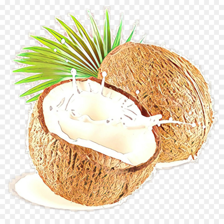  cartoon,coconut,coconut water,food,png