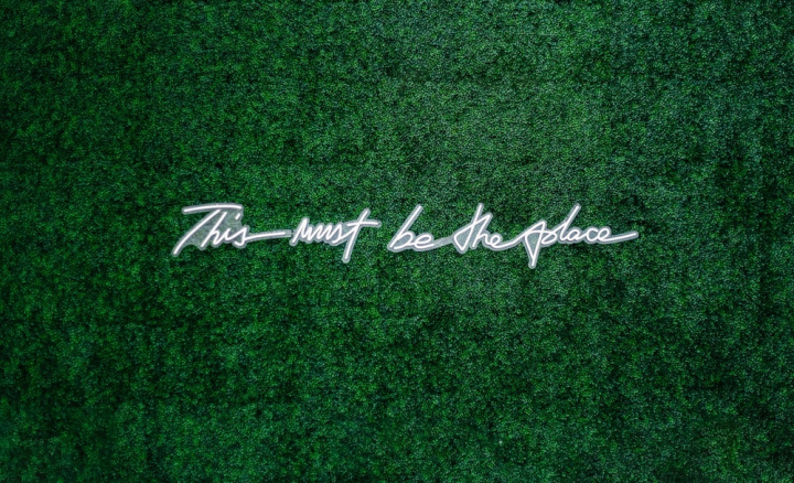 art,artificial turf,astroturf,background,calligraphy,color,design,green,message,pattern,sign,space,style,text,texture,wall,wallpaper,words