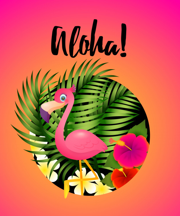 inscription,script,calligraphic,season,bright,aloha,lettering,message,print,hawaii,vacation,tourism,flamingo,fun,plants,creative,decoration,plant,offer,holiday,tropical,colorful,text,font,leaves,art,cute,leaflet,retro,bird,nature,template,summer,hand,circle,travel,card,abstract,invitation,poster,flower,background