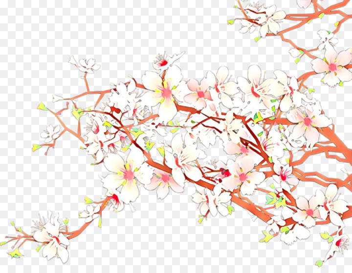  cartoon,branch,blossom,pink,flower,line,spring ,plant,cherry blossom,twig,png
