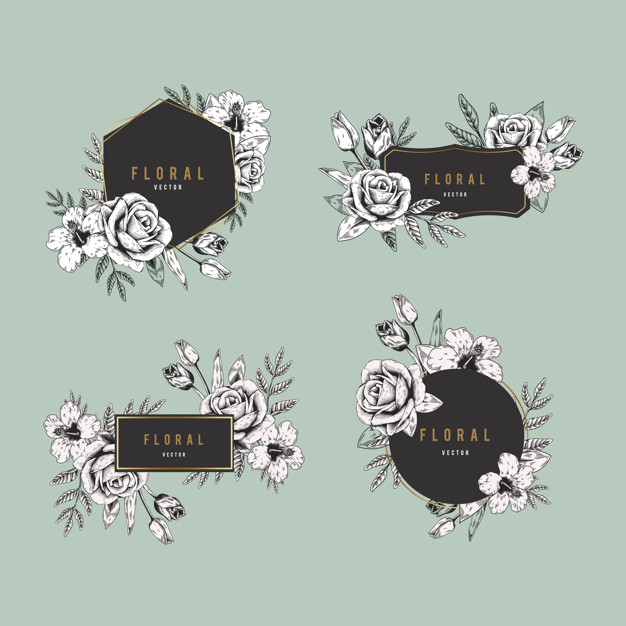 chinese rose,mint green,design space,copy space,illustrated,glamorous,copy,set,blank,collection,hibiscus,banner template,floral logo,drawn,mint,flora,chinese background,beautiful,banner mockup,tulip,blossom,botanical,romantic,rectangle,brand,branch,beauty logo,banner design,emblem,drawing,hexagon,creative,decoration,plant,sketch,elegant,shape,graphic,floral frame,black,spring,space,chinese,banner background,hand drawn,rose,black background,green background,sticker,nature,floral background,green,badge,leaf,template,hand,design,label,floral,vintage,mockup,wedding,frame,flower,banner,logo,background