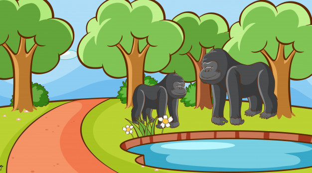 primate,mammal,fauna,pond,gorilla,outdoor,field,park,animals,animal,cartoon,water,tree