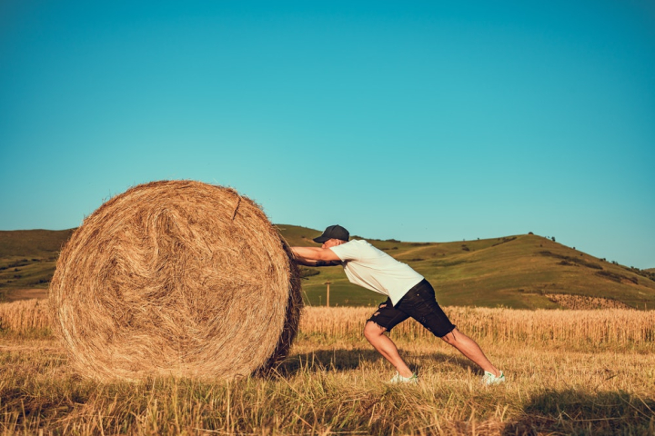 action,countryside,daylight,effort,energy,field,grass,hay,hay bale,hay field,hayfield,haystack,male,man,outdoors,pushing,rural,side view,straw