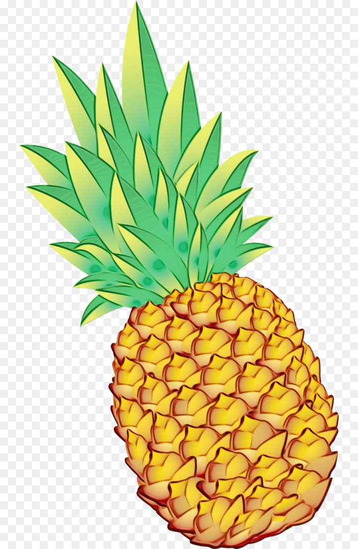 Download Pineapple, Fruit, Drawing. Royalty-Free Stock Illustration Image -  Pixabay