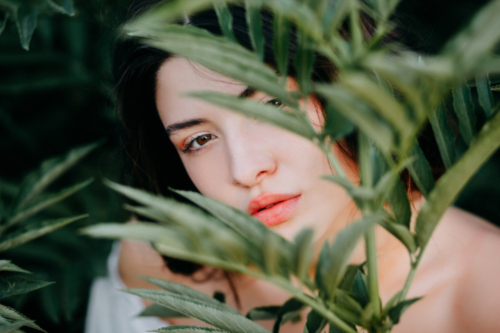 Free: Woman Behind Green Leafed Plant - nohat.cc