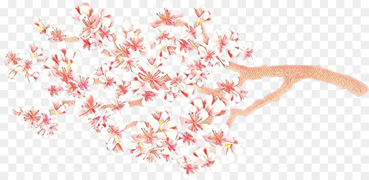  cartoon,pink,line,plant,blossom,flower,cherry blossom,png