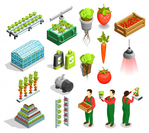 orangery,hydroponic,aquaculture,nutrient,cultivation,irrigation,seedling,fertilizer,plantation,greenhouse,biotechnology,pump,growing,set,collection,sprout,harvest,vegetarian,root,fresh,pot,growth,vegetable,ecology,agriculture,organic,plant,isometric,3d,icons,fruit,farm,water,abstract