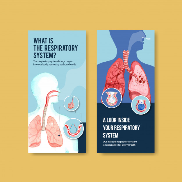 pulmonary,respiration,respiratory,internal,physiology,breathe,illness,disease,breath,organ,chest,lung,anatomy,system,ads,biology,healthcare,care,cancer,document,body,drawing,medicine,shape,human,hospital,science,health,medical,template,watercolor,flyer
