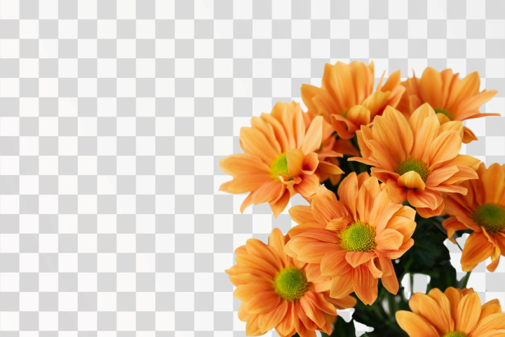 Free: Bunch of flowers on PNG transparent background - Author  @karolina-grabowska / Pexels 