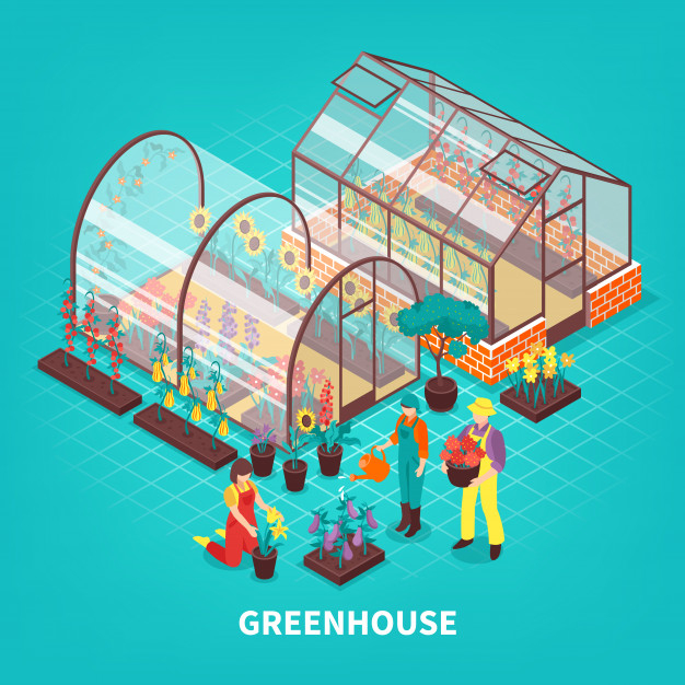 hothouse,cultivated,glasshouse,cultivation,horticulture,botany,still,composition,greenhouse,crop,growing,rural,nursery,farming,gardening,seed,land,tractor,outdoor,field,life,vegetable,healthy,industry,agriculture,natural,organic,glass,plant,wheat,isometric,garden,3d,art,landscape,farm,nature,green,summer,house,tree,flower