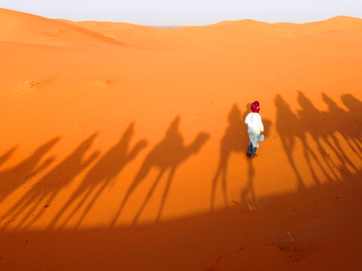 adventure,arid,desert,dune,man,person,sand,sand dunes,shadow