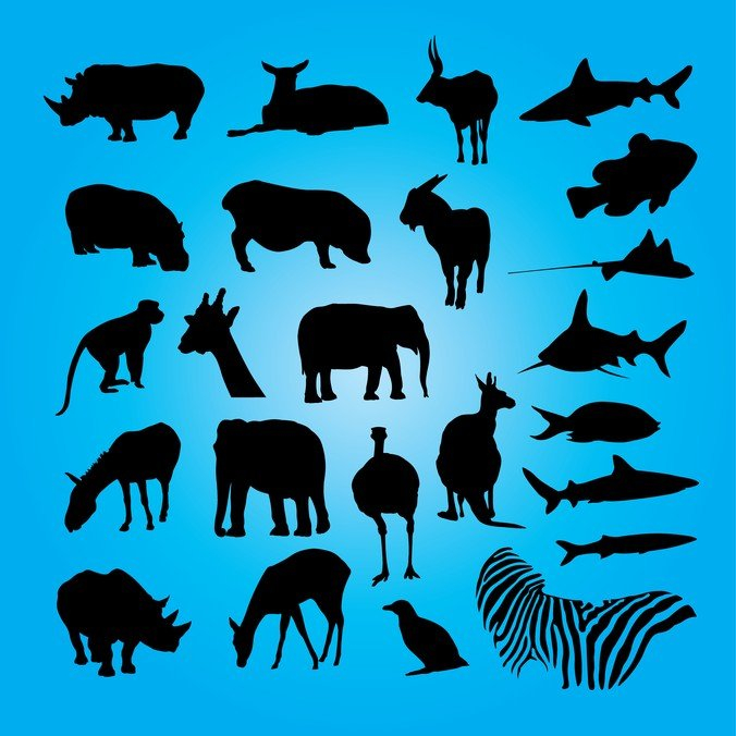 animals,ape,bambi,bird,deer,elephant,fish,giraffe,goat,hippo,horse,kangaroo,mammal,monkey,pig,rhino,set,shark,silhouettes,com365psd