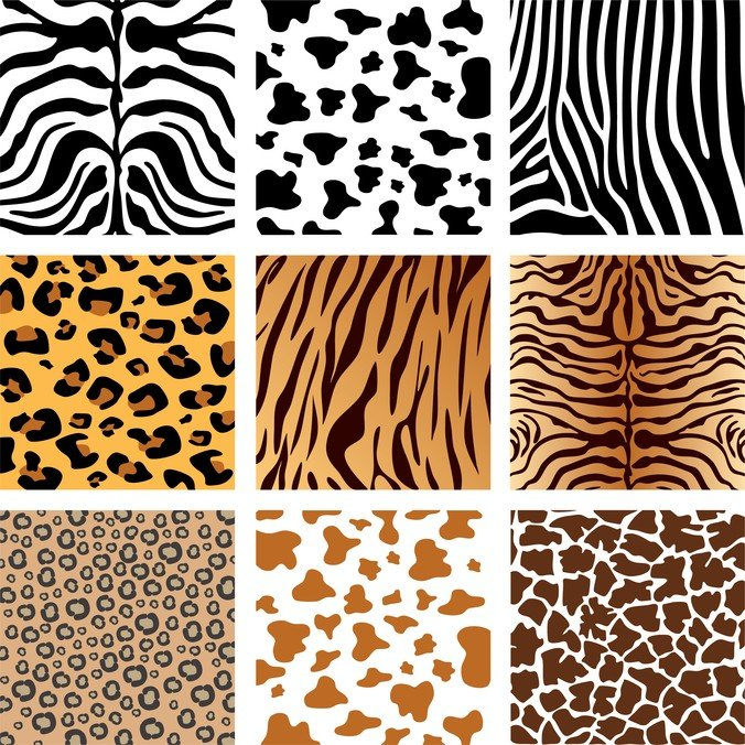 fur,leopard,scenic spots,skin,throat material pattern,throat materials,yu wen,zebra,com365psd