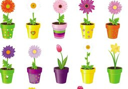 bright,colorful,floral,flower,flowerpot,nature,set,vase,com365psd