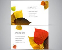 business,card,clear,eco,green,leafs,leaves,nature,rero,com365psd