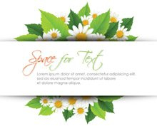 background,clear,frame,green,leaf,leafs,leaves,lorem,natural,nature,space,text,com365psd