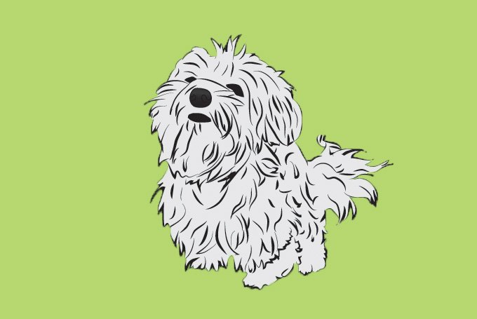 animals,free vectors,dog clip art,dog illustration,dog picture,dog vector,vector art,isolated,maltese,maltese dog,com365psd