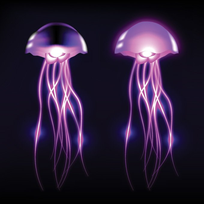 dark,deep,free vectors,jellyfish clip art,jellyfish illustration,jellyfish vector,vector art,glowing,isolated,jellyfish,purple,sea creatures,shining,underwater,com365psd