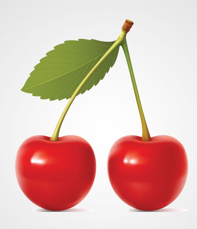 cherries,cherry,cherry vector,free vector,cherry illustration,vector art,fresh,realistic,red,red cherry,com365psd