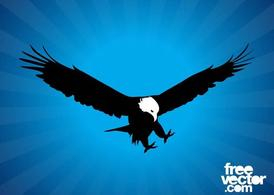 nature,silhouette,feathers,usa,bird,wings,animal,fly,eagle,flying,bald eagle,fauna,national animal,com365psd