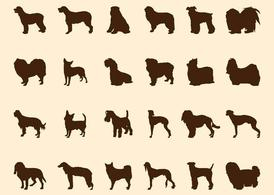 silhouette,silhouettes,animal,animals,dog,walk,pet,dogs,fur,sit,breed,dog breed,breeding,hound,com365psd