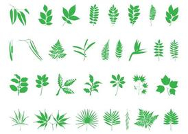nature,tree,leaves,leaf,plant,silhouettes,flora,branches,fern,ferns,com365psd