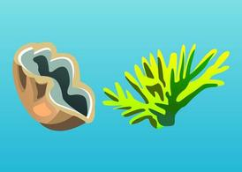 plant,animal,summer,water,ocean,marine,underwater,aquatic,clam,oyster,seaweed,com365psd