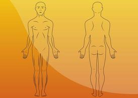 Free Body Illustrations Nohat Cc